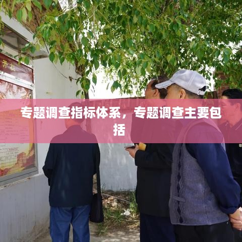 專(zhuān)題調(diào)查指標(biāo)體系，專(zhuān)題調(diào)查主要包括 