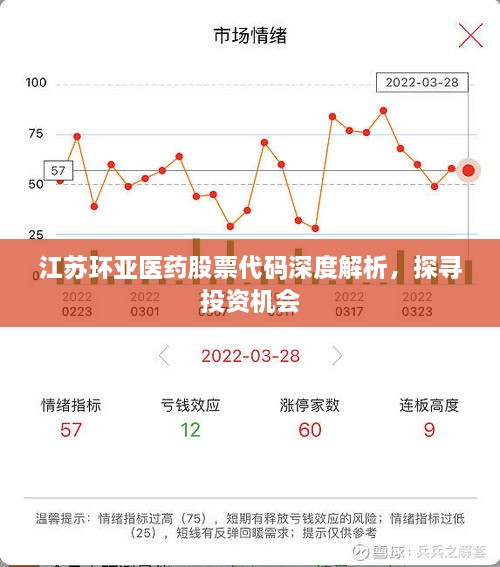 江蘇環(huán)亞醫(yī)藥股票代碼深度解析，探尋投資機(jī)會(huì)