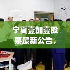 寧夏壹加壹股票最新公告，重磅消息揭秘，投資者不容錯(cuò)過！
