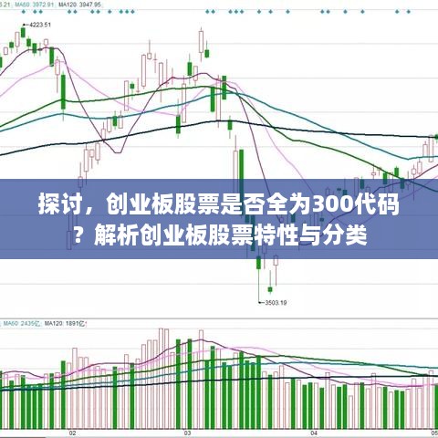 探討，創(chuàng)業(yè)板股票是否全為300代碼？解析創(chuàng)業(yè)板股票特性與分類