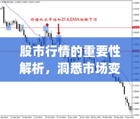 股市行情的重要性解析，洞悉市場(chǎng)變化的關(guān)鍵所在！