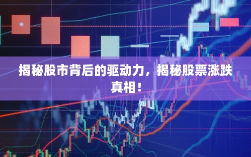 揭秘股市背后的驅動力，揭秘股票漲跌真相！