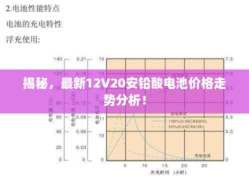揭秘，最新12V20安鉛酸電池價格走勢分析！
