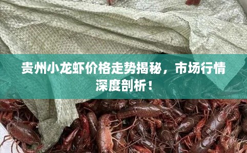 解決方案 第171頁