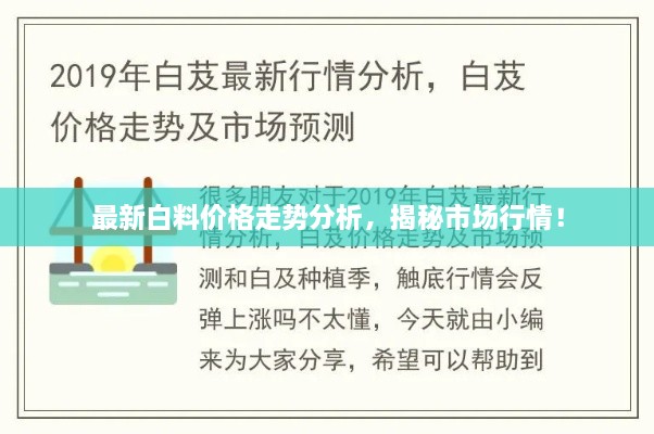 最新白料價格走勢分析，揭秘市場行情！