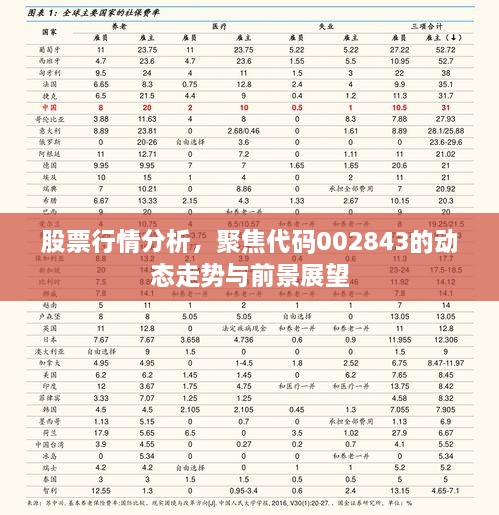股票行情分析，聚焦代碼002843的動(dòng)態(tài)走勢與前景展望