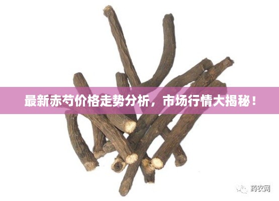 最新赤芍價(jià)格走勢(shì)分析，市場(chǎng)行情大揭秘！