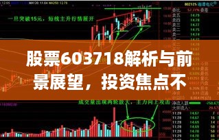 股票603718解析與前景展望，投資焦點(diǎn)不容錯(cuò)過(guò)