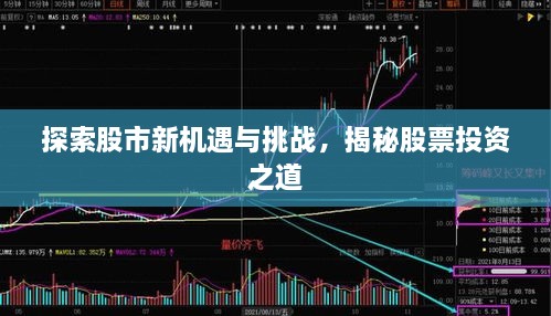 文貴天成 第2頁(yè)