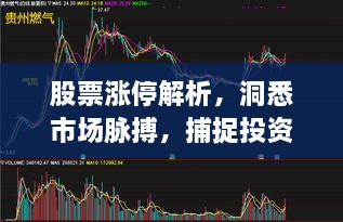 股票漲停解析，洞悉市場脈搏，捕捉投資黃金機(jī)會