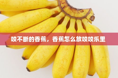 咬不斷的香蕉，香蕉怎么放咬咬樂(lè)里 
