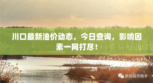 川口最新油價(jià)動(dòng)態(tài)，今日查詢，影響因素一網(wǎng)打盡！