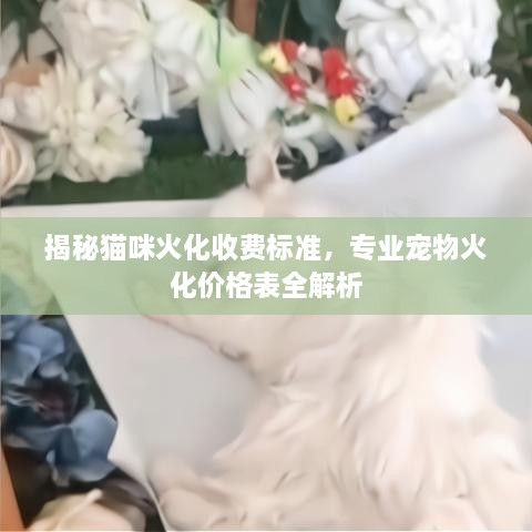 解決方案 第128頁