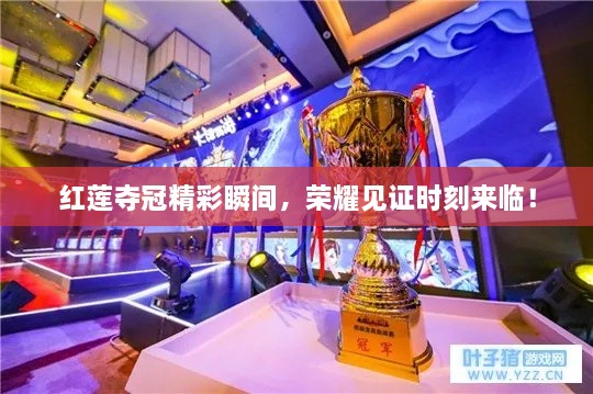 紅蓮?qiáng)Z冠精彩瞬間，榮耀見(jiàn)證時(shí)刻來(lái)臨！