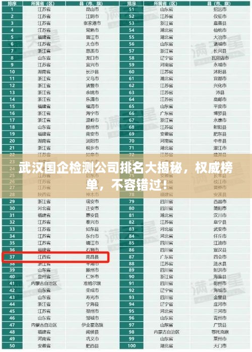 武漢國(guó)企檢測(cè)公司排名大揭秘，權(quán)威榜單，不容錯(cuò)過(guò)！