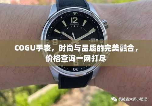 COGU手表，時(shí)尚與品質(zhì)的完美融合，價(jià)格查詢一網(wǎng)打盡