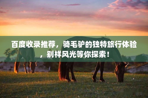 百度收錄推薦，騎毛驢的獨特旅行體驗，別樣風光等你探索！