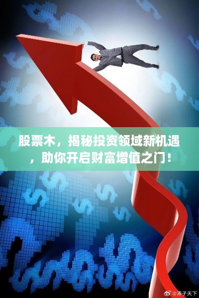 股票木，揭秘投資領(lǐng)域新機(jī)遇，助你開(kāi)啟財(cái)富增值之門(mén)！