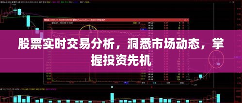 股票實時交易分析，洞悉市場動態(tài)，掌握投資先機