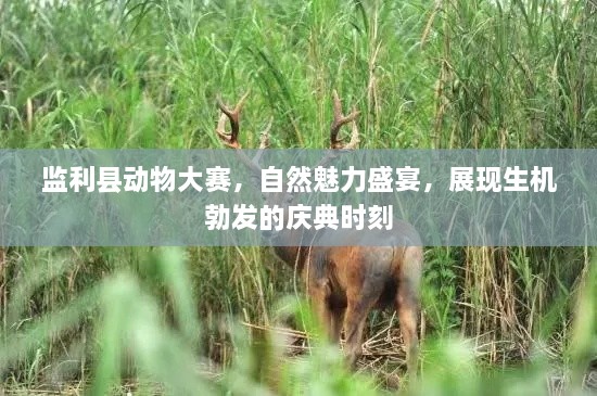 監(jiān)利縣動物大賽，自然魅力盛宴，展現(xiàn)生機(jī)勃發(fā)的慶典時刻
