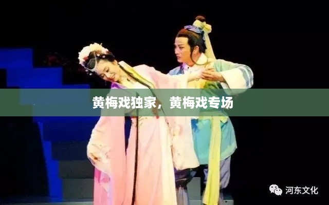 黃梅戲獨(dú)家，黃梅戲?qū)?