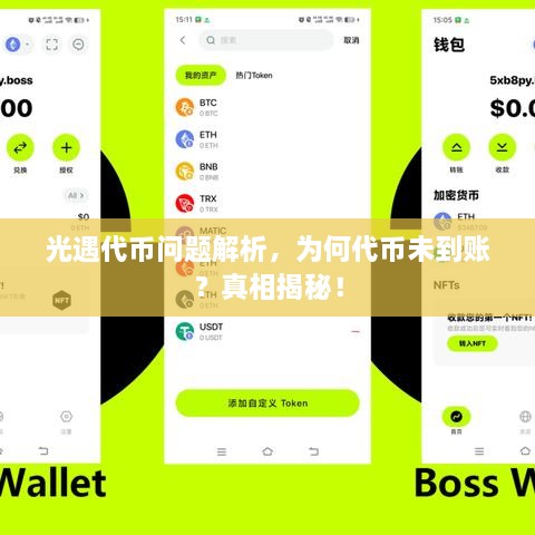 光遇代幣問題解析，為何代幣未到賬？真相揭秘！