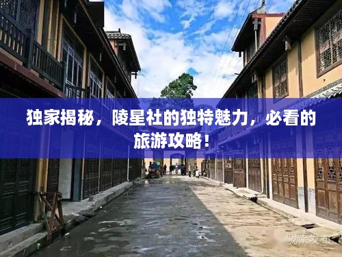 獨(dú)家揭秘，陵星社的獨(dú)特魅力，必看的旅游攻略！