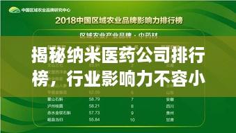 揭秘納米醫(yī)藥公司排行榜，行業(yè)影響力不容小覷！