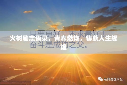 火樹勵志語錄，青春燃燒，鑄就人生輝煌