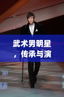 武術男明星，傳承與演繹的魅力展現(xiàn)