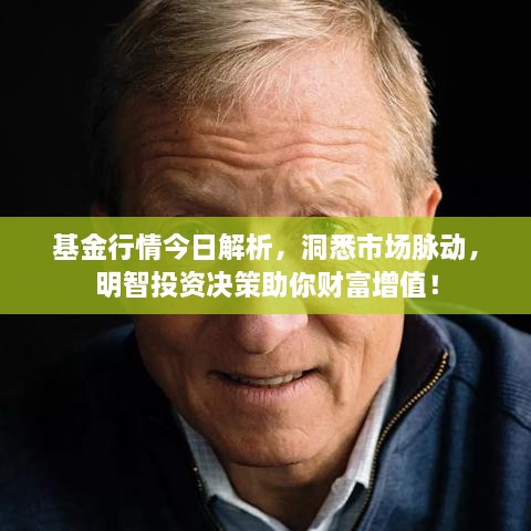 基金行情今日解析，洞悉市場(chǎng)脈動(dòng)，明智投資決策助你財(cái)富增值！
