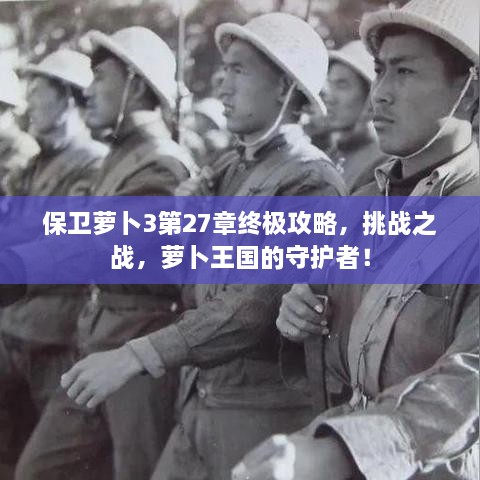 保衛(wèi)蘿卜3第27章終極攻略，挑戰(zhàn)之戰(zhàn)，蘿卜王國的守護(hù)者！