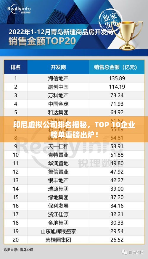 印尼虛擬公司排名揭秘，TOP 10企業(yè)榜單重磅出爐！