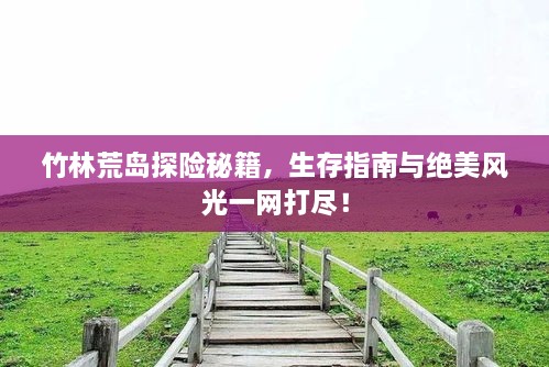 竹林荒島探險秘籍，生存指南與絕美風(fēng)光一網(wǎng)打盡！