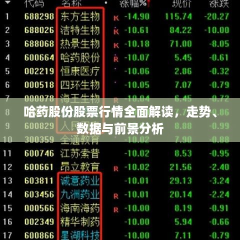哈藥股份股票行情全面解讀，走勢、數(shù)據(jù)與前景分析