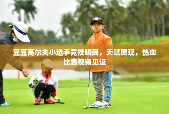 豆豆高爾夫小選手競技瞬間，天賦展現(xiàn)，熱血比賽視頻見證