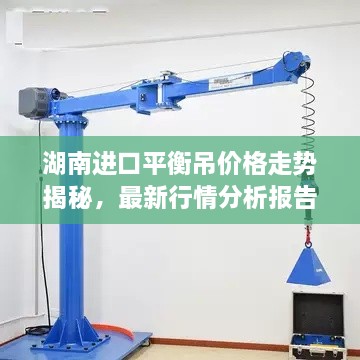湖南進口平衡吊價格走勢揭秘，最新行情分析報告！