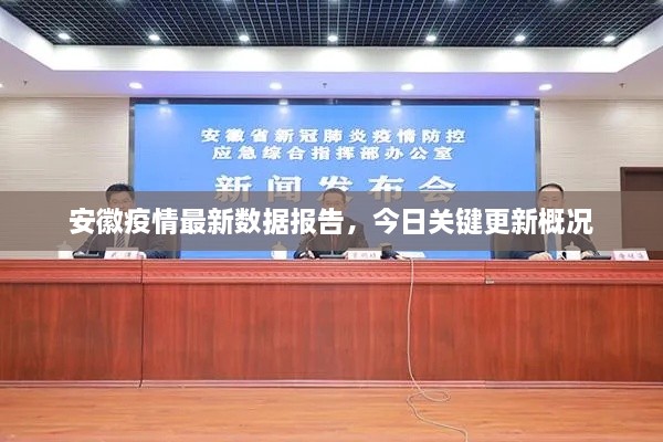安徽疫情最新數(shù)據(jù)報告，今日關鍵更新概況