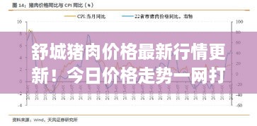 產(chǎn)品展示 第40頁