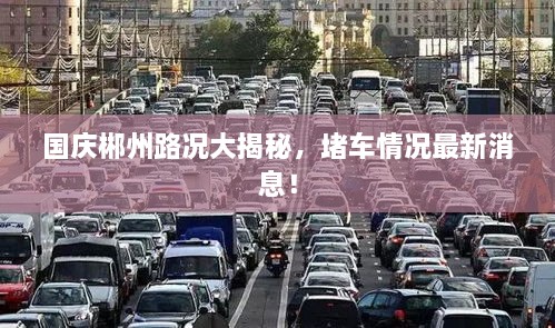 國慶郴州路況大揭秘，堵車情況最新消息！