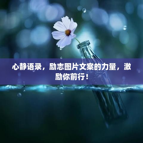心靜語(yǔ)錄，勵(lì)志圖片文案的力量，激勵(lì)你前行！