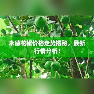永德花椒價(jià)格走勢(shì)揭秘，最新行情分析！