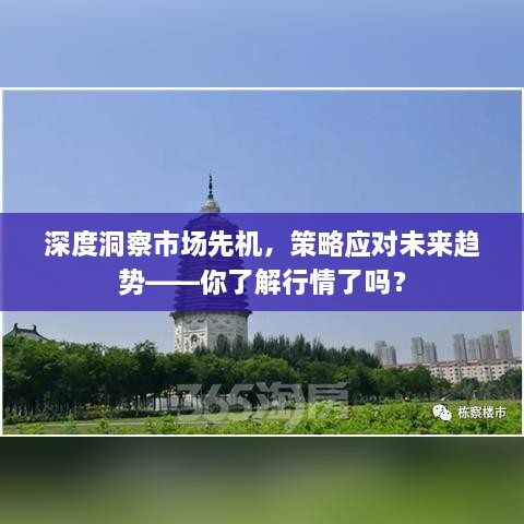 深度洞察市場(chǎng)先機(jī)，策略應(yīng)對(duì)未來(lái)趨勢(shì)——你了解行情了嗎？