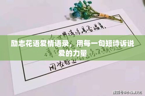 勵(lì)志花語愛情語錄，用每一句短詩訴說愛的力量