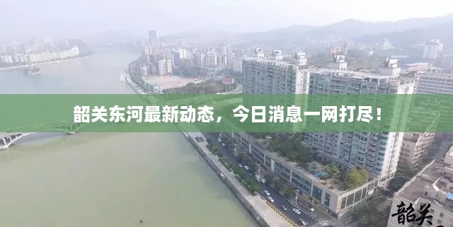 韶關(guān)東河最新動(dòng)態(tài)，今日消息一網(wǎng)打盡！