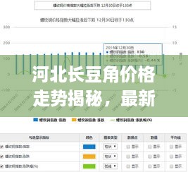 河北長(zhǎng)豆角價(jià)格走勢(shì)揭秘，最新行情分析報(bào)告！