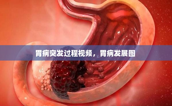 產(chǎn)品展示 第15頁