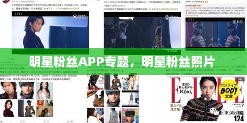 明星粉絲APP專題，明星粉絲照片 