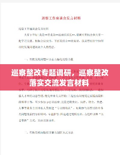巡察整改專題調(diào)研，巡察整改落實(shí)交流發(fā)言材料 