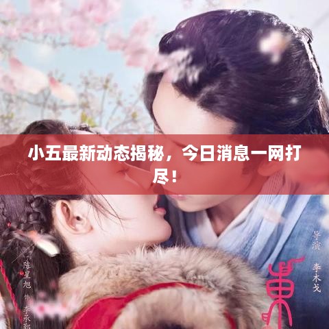 小五最新動態(tài)揭秘，今日消息一網(wǎng)打盡！